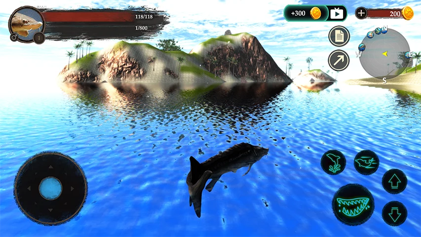 The Sturegon screenshot