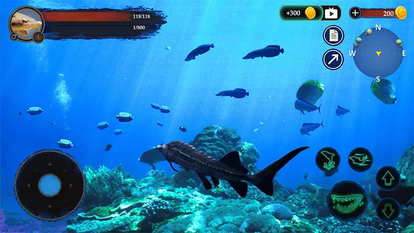 The Sturegon screenshot