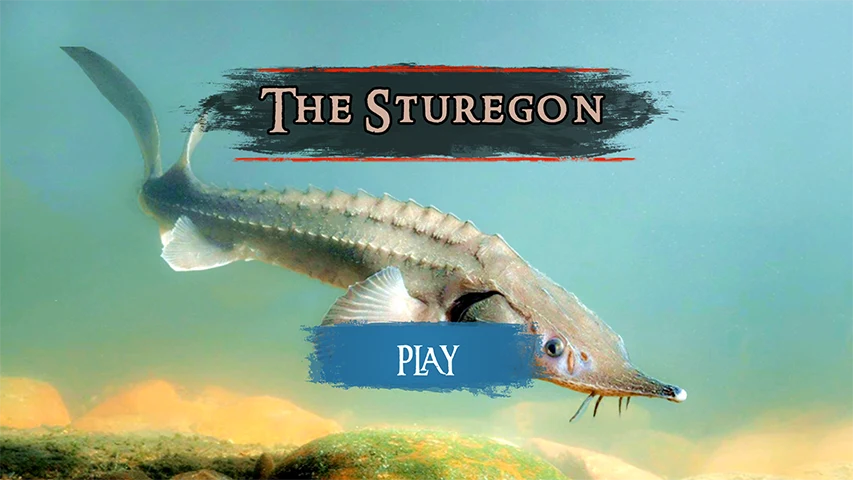 The Sturegon screenshot