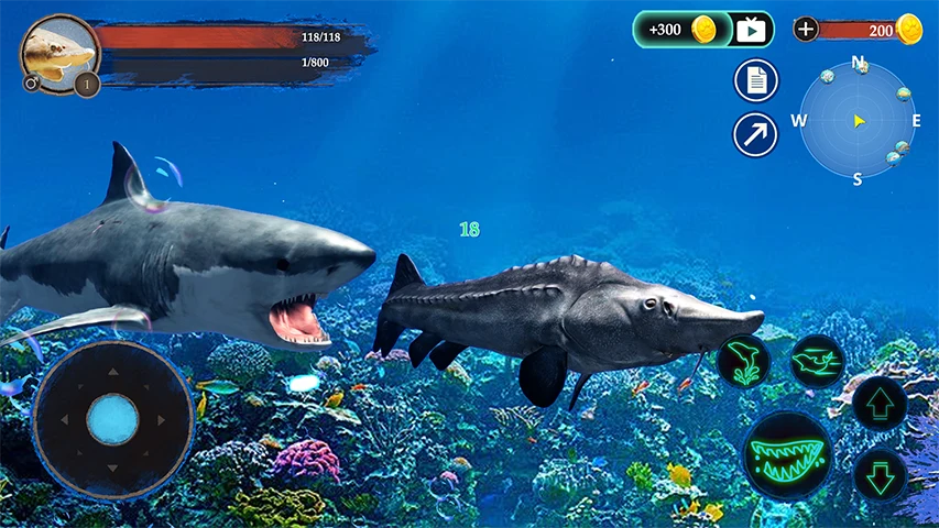 The Sturegon screenshot