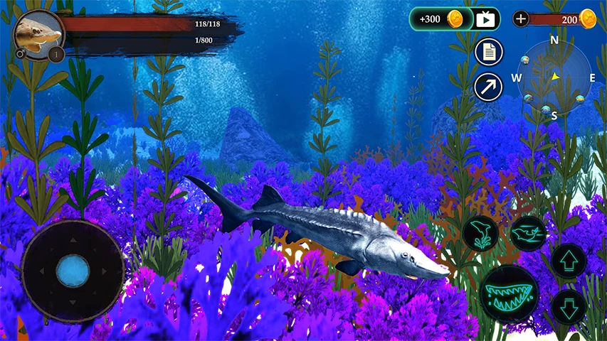 The Sturegon screenshot